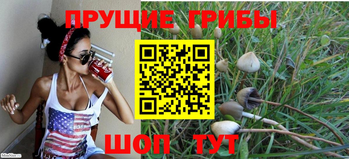 Луховицы  Галлюциногенные грибы мухоморы  Псилоцибиновые грибы Psilocybe  Вход с VPN 